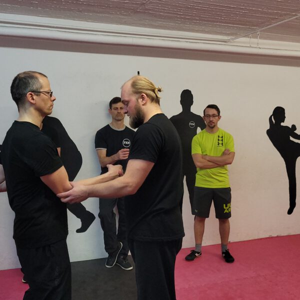 Lehrgang mit Johannes Hübner - Stefans Kampfkunstschule